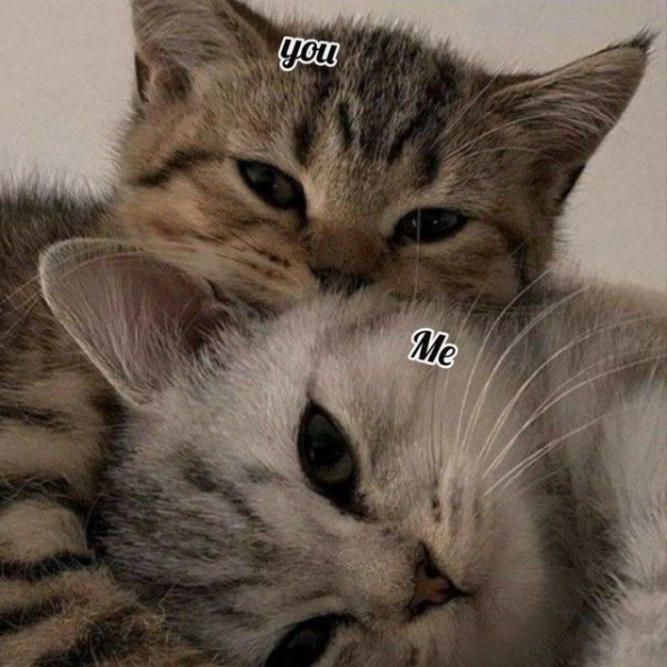 sami13