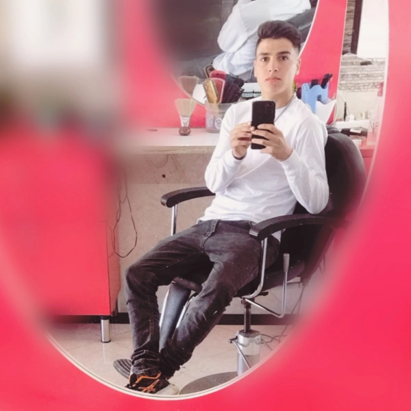 سیاره 4991