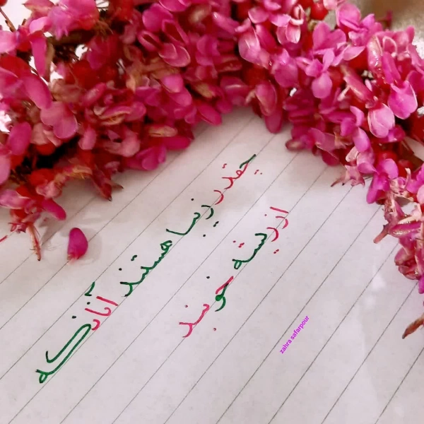 لیلی