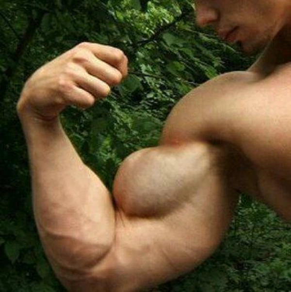 shahin