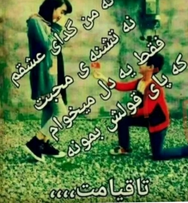 مازیار