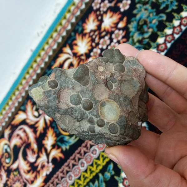 اردبیل