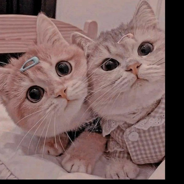 غزل