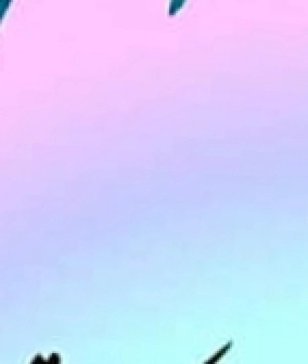 سارا
