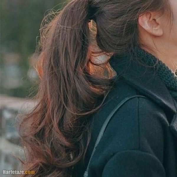 سیاره 6542