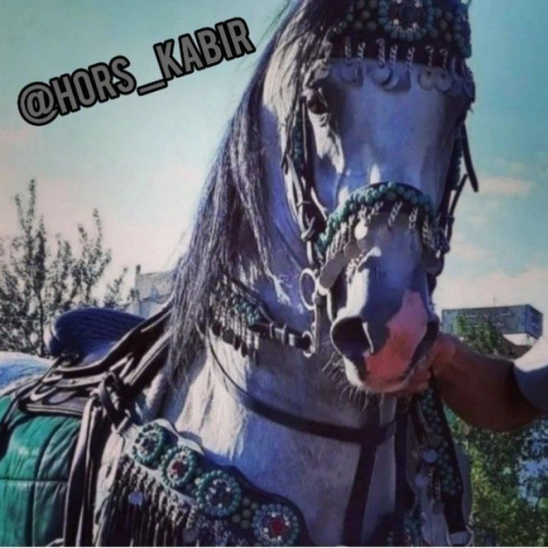 سیاره مرگ هستم
