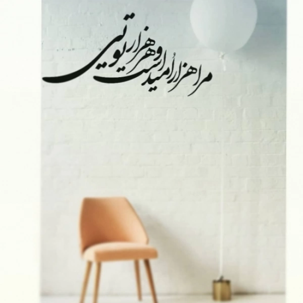 حامد