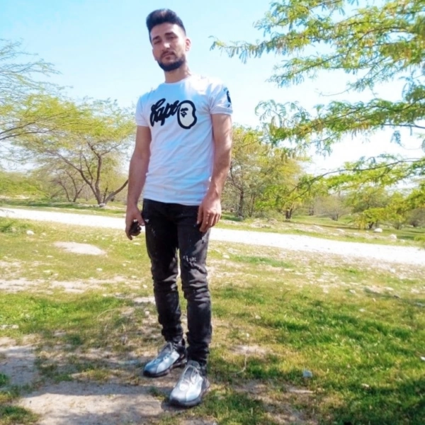 سیاره 3981