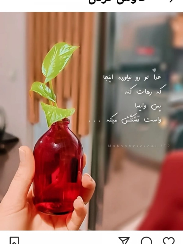mikad54